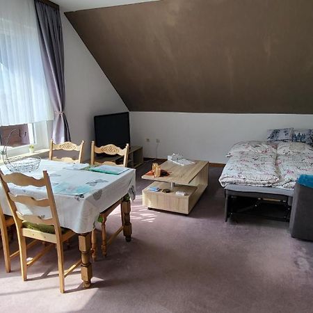 Haus Rehblick 2, Wg 4 Apartman Sankt Andreasberg Kültér fotó